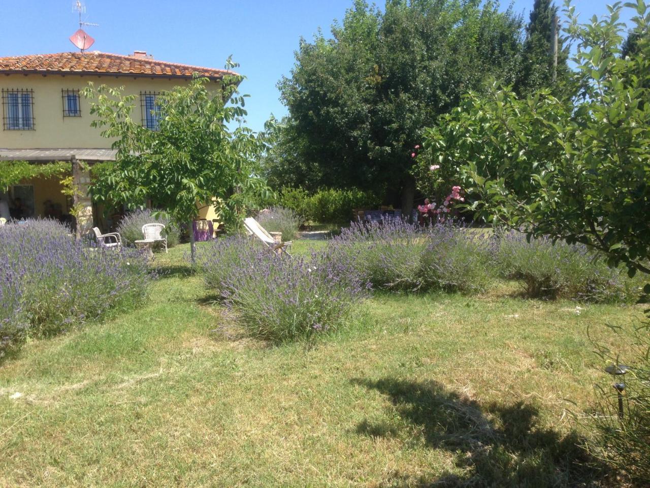 Agriturismo Papageno Rignano sullʼArno Exterior foto